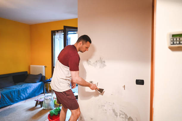 Certified Mold Removal in Nokesville, VA